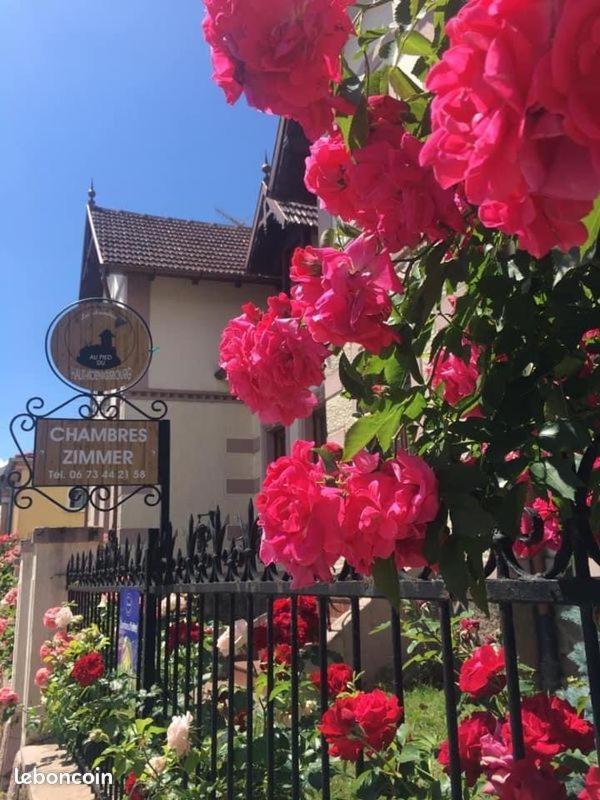 Gites Au Pied Du Haut-Koenigsbourg Kintzheim Dış mekan fotoğraf